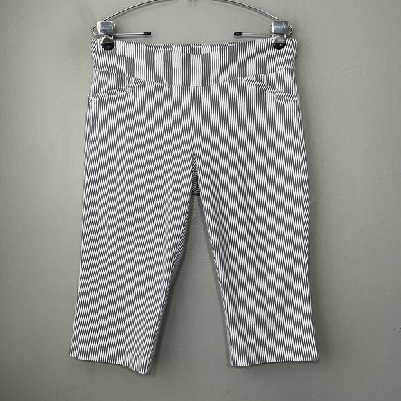 Coastal Capris Pants Signature Slimming Size 10 Petite Blue White Striped Preppy - Picture 2 of 13